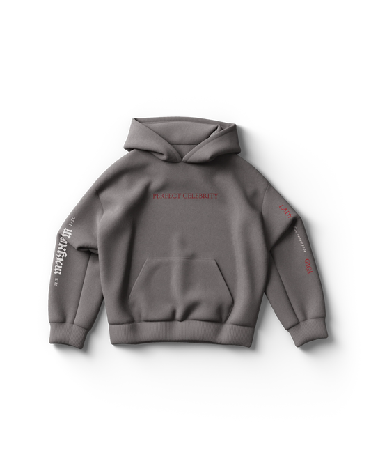 Lady Gaga Perfect Celebrity Gray Hoodie – Official Merch